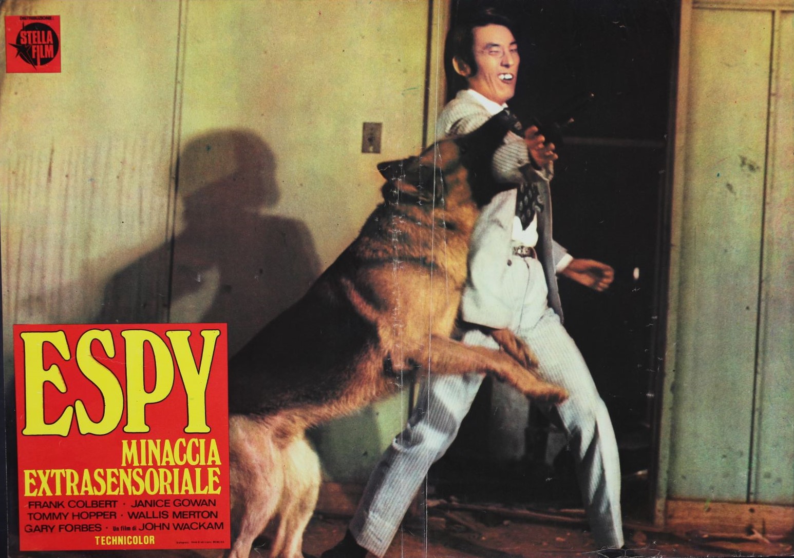 エスパイ 日本映画海外ポスターアーカイブ